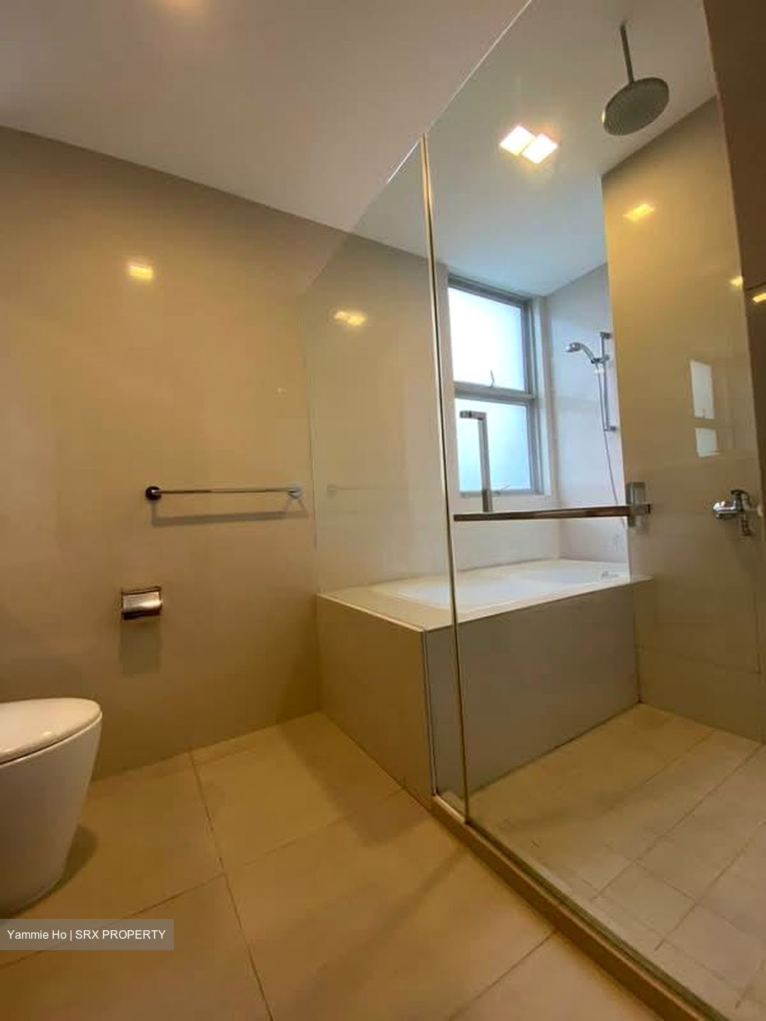 Nassim Regency (D10), Condominium #571739381
